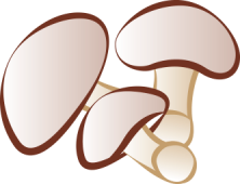 champignons.png